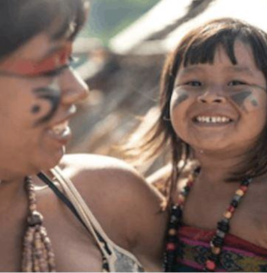 Annual Brazilian Indigenous Festival